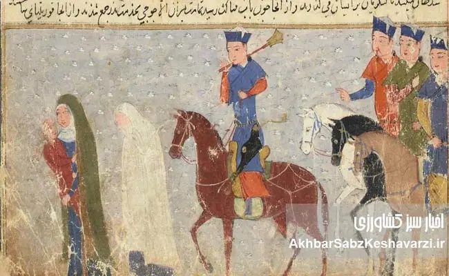 زنانی-که-ایران-را-از-دل-بحران‌ها-نجات-دادند-5