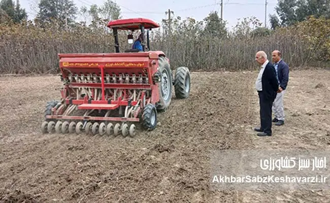 چرا-خاک-را-شخم-نزنیم؟-3