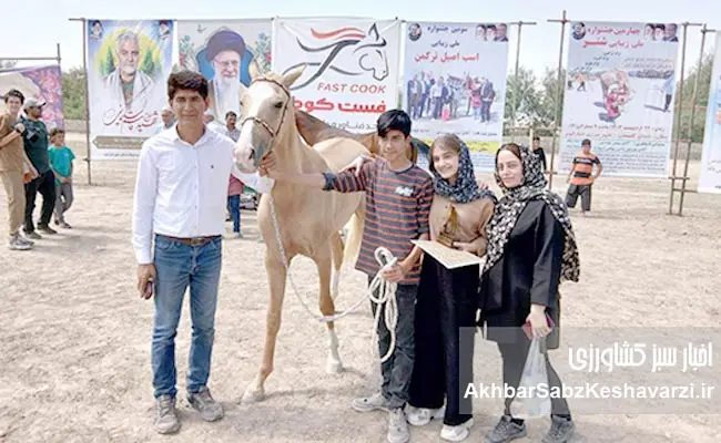 گزارشی-از-سومین-جشنواره-اسب-اصیل-ترکمن-3