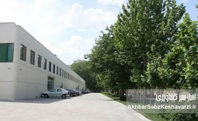 صنعت-چوب-ایران؛-ظرفیتی-که-با-سرمایه‌گذاران-بومی-جان-می‌گیرد.jpg-2