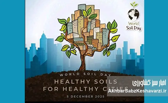 به-استقبال-روز-جهانی-خاک-۲۰۲۵-1