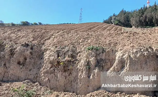 وقتی-برگردان-خاک-برخلاف-اصول-حفاظتی-اجرا-می‌شود؛-زنگ-خطر-در-قلب-گرگان+-ویدئو-3