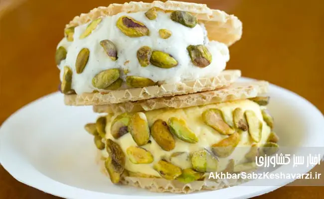 تاریخچه-بستنی-در-ایران-و-جهان-1