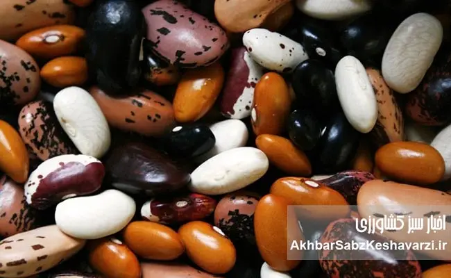 بازار-حبوبات