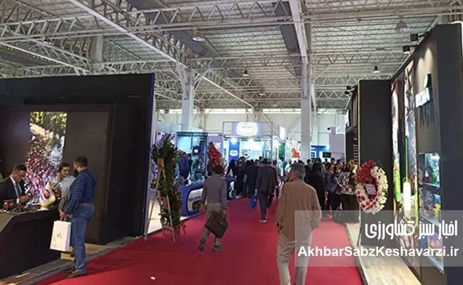 bazdidkonandegan-iran-expo-2025-9