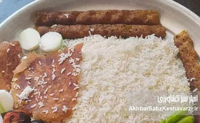 از-کوبیده-ماهی-تا-چیپس-ماهی-1