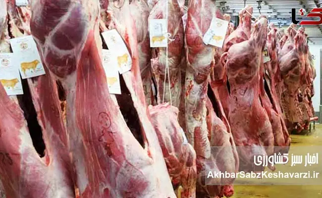 علت-گرانی-گوشت-قرمز