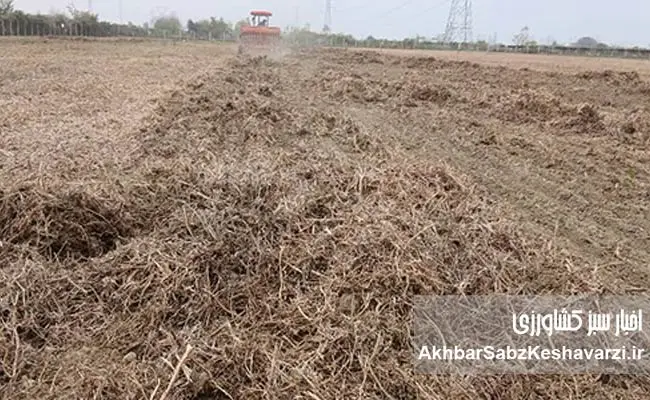 کشاورزی-حفاظتی-از-لحظه-برداشت-آغاز-می‌شود-4