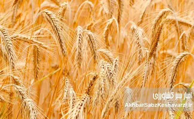 The-challenge-of-the-country_s-food-security