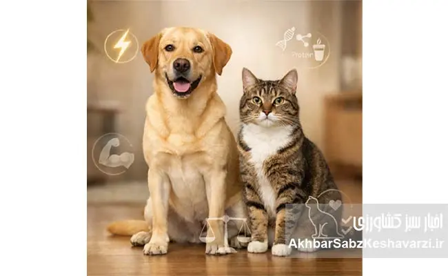 سگ-و-گربه-شما-دقیقاً-چه-تغذیهای-نیاز-دارند؟-.jpg-1