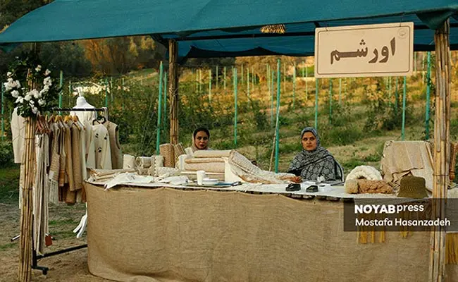 برپایی-جشنواره-پنبه-در-سرزمین-طلای-سفید-4