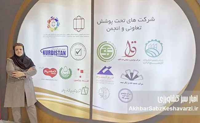 سقوط-واردات-شکر--8jpg