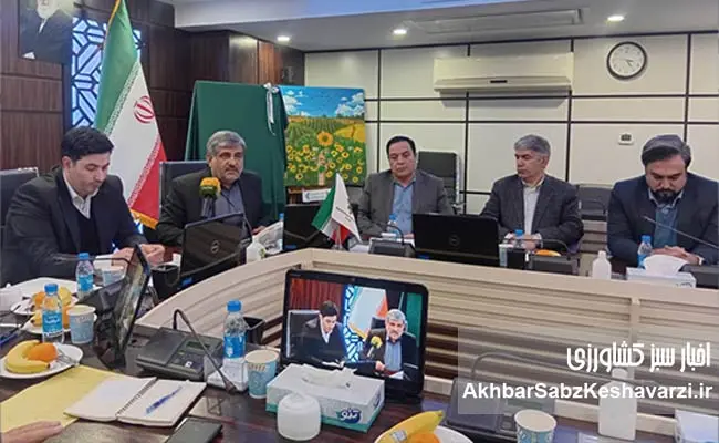 دکتر-باباخانی-طرح-بیمه-فراگیر-گندم-وارد-مرحله-اجرای-۱۴۰۵-شد