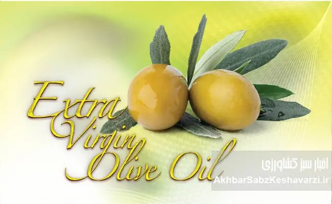 روغن-زیتون-واقعی-یا-تقلبی؟-۶-روش-شناسایی-آن-در-خانه!-4