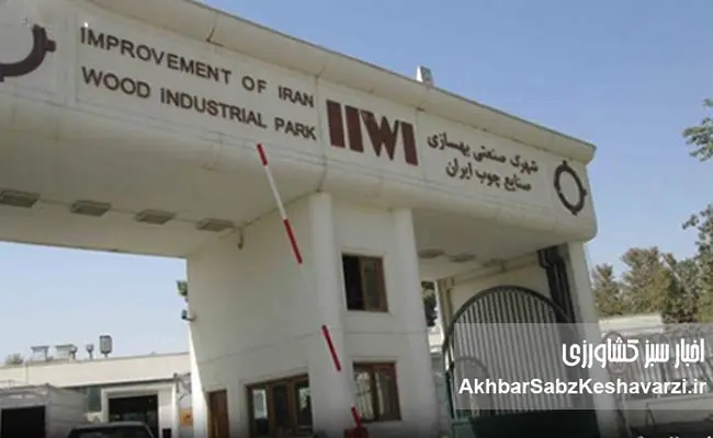 صنعت-چوب-ایران؛-ظرفیتی-که-با-سرمایه‌گذاران-بومی-جان-می‌گیرد