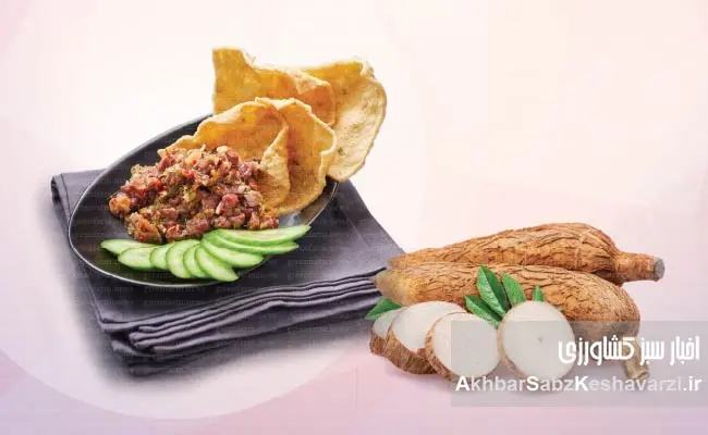 kasht-parvaresh-cassava