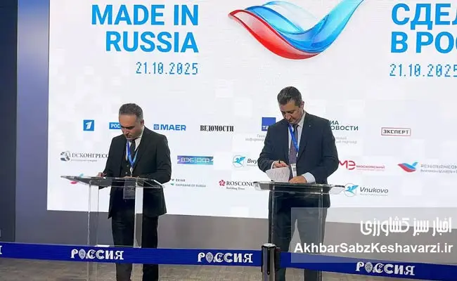 هلدینگ-رحمت-تجارت.jpg-3jpg-3