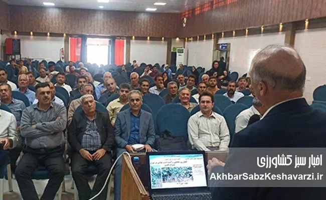 کارگاه-آموزشی-«کشاورزی-سازگار-با-اقلیم»-در-شهرستان-کلاله-گلستان+ویدئو