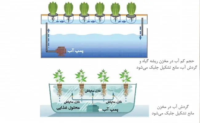 kontrol-jalbak-hidroponik-1