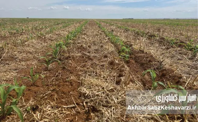 مدیریت-زمین-پس-از-برداشت-سرنوشت-کشاورزی-در-چند-ماه-آینده