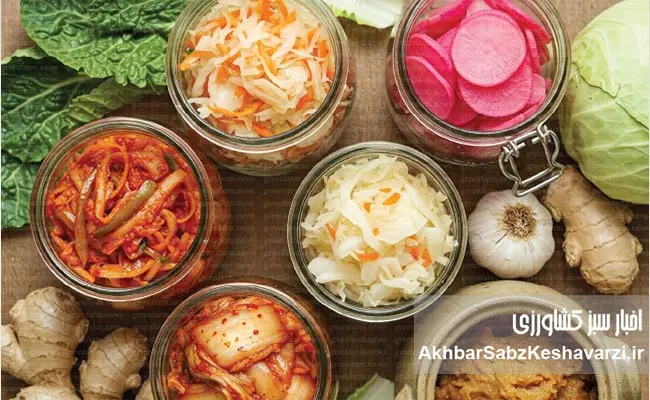 کنسرو-کردن-خانگی-1