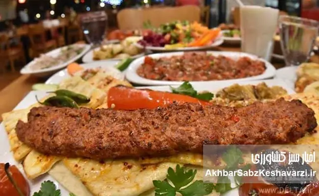 جشنواره-کباب-بناب-1