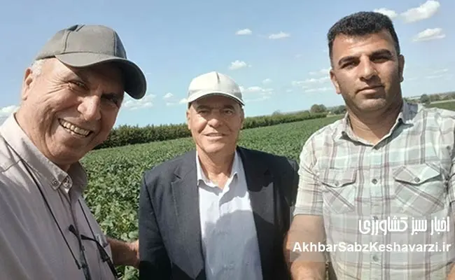 بازدید-کشاورز-پیشرو-لرستان-از-مزرعه-کشت-حفاظتی-سویای-برادران-کشیری-