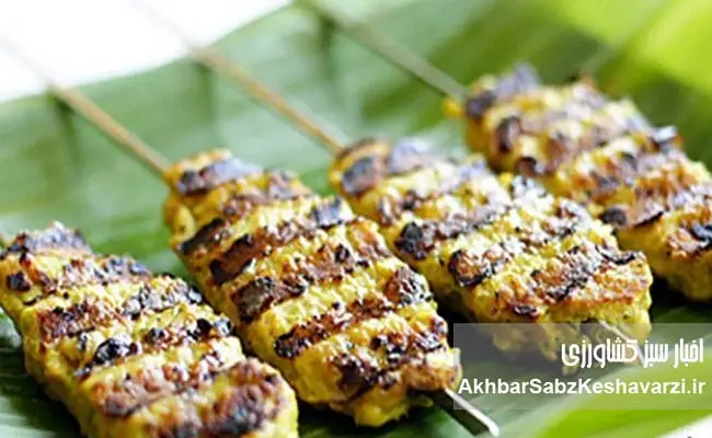 از-کوبیده-ماهی-تا-چیپس-ماهی-2