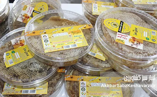 از-دل-خاک-تا-کندوی-عسل؛-کلان-آذر،-نامی-برای-اعتماد-و-سلامت-سفره-ایرانی-2