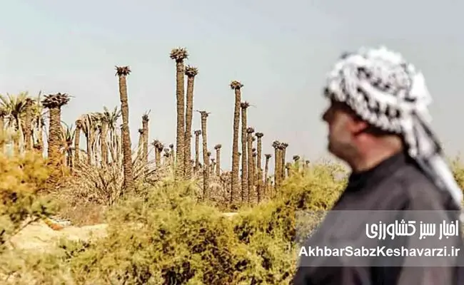 Khuzestan_s-Water-Crisis2