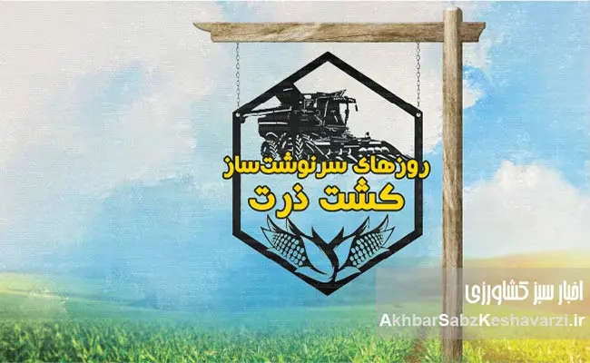 آموزش-کشت-ذرت1