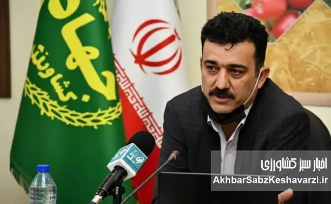 اصلاح-قیمت-تضمینی-گندم-در-دستور-کار-وزارت-جهاد-کشاورزی