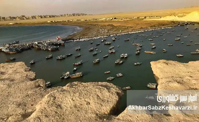 توسعه-دریامحور2