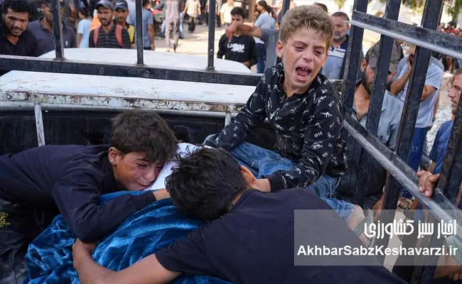 Gaza-and-the-Tragedy-of-a-Single-Meal2
