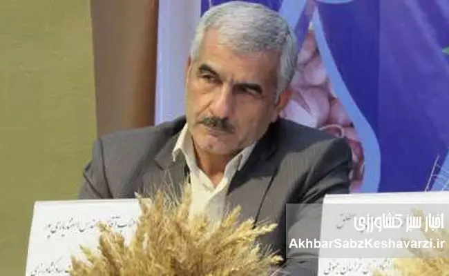 چرا-سیاست-فعلی،-انگیزه-گندمکاران-را-تضعیف-و-امنیت-غذایی-را-تهدید-می‌کند؟