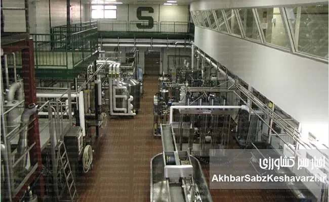 کنسرو-کردن-خانگی-3