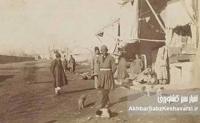 قحطی-ایران-در-جنگ-جهانی-دوم6