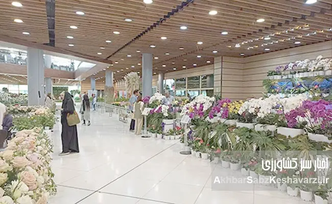 بیستمین-نمایشگاه-گل-و-گیاه-تهران-آغاز-به-کار-کرد--10