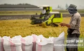 انقلاب کشاورزی: گامی بلند با حمایت صندوق توسعه ملی