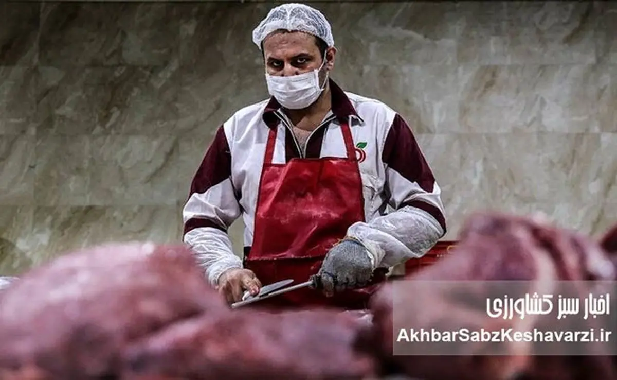گرانی گوشت قرمز؛ دام ارزان، اما گوشت گران!