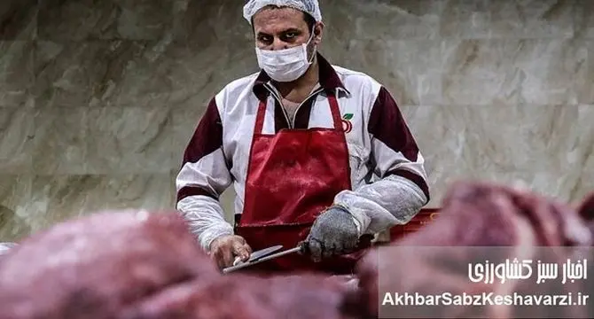 گرانی گوشت قرمز؛ دام ارزان، اما گوشت گران!