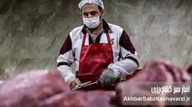 گرانی گوشت قرمز؛ دام ارزان، اما گوشت گران!