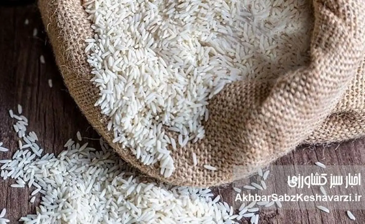 قیمت برنج پاکستانی اعلام شد؛ شوک قیمتی در بازار هر کیسه ۱۰ کیلویی