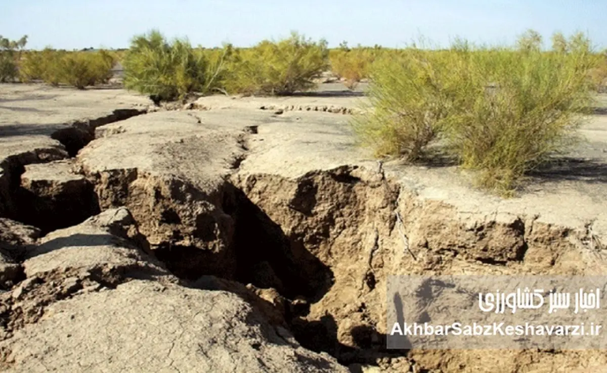 ایران روی زمینِ خالی می‌ایستد؛ سرعت فرونشست در برخی مناطق به ۴۰ سانتیمتر رسیده