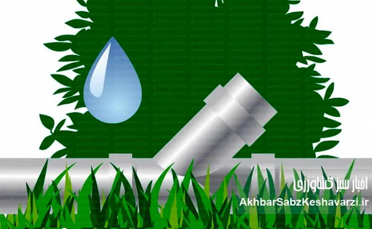 مدیریت مصرف آب در کشت تابستانه