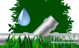 مدیریت مصرف آب در کشت تابستانه