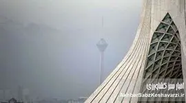 وقتی نفس‌کشیدن هم جرم شد؛ آلودگی هوا در آستانه فاجعه ملی