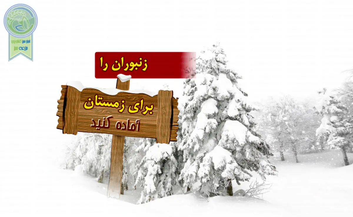 زنبوران را برای زمستان آماده کنید

