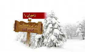 زنبوران را برای زمستان آماده کنید

