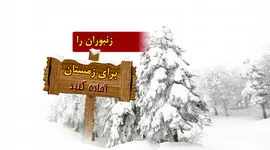 زنبوران را برای زمستان آماده کنید

